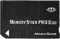 Memory Stick.png