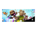 HDD Bay Cover Little Big Planet 3