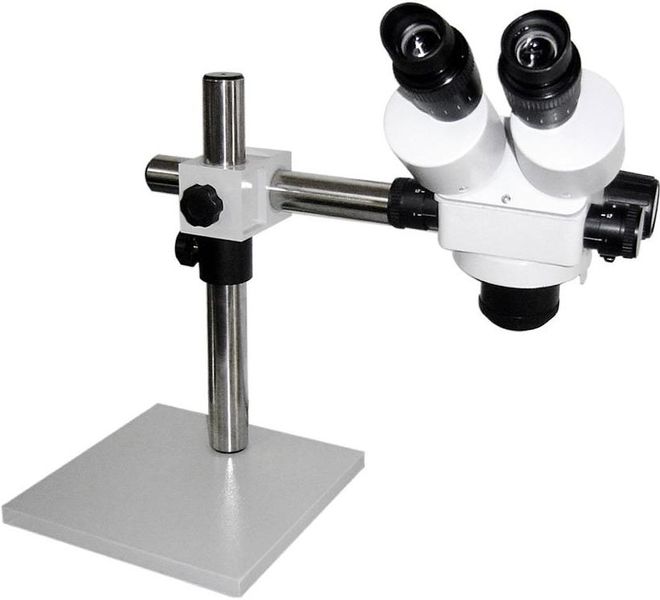 File:Stereo Microscope example1.jpg
