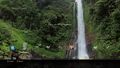 Beautiful Rainforest Waterfall Dynamic Theme